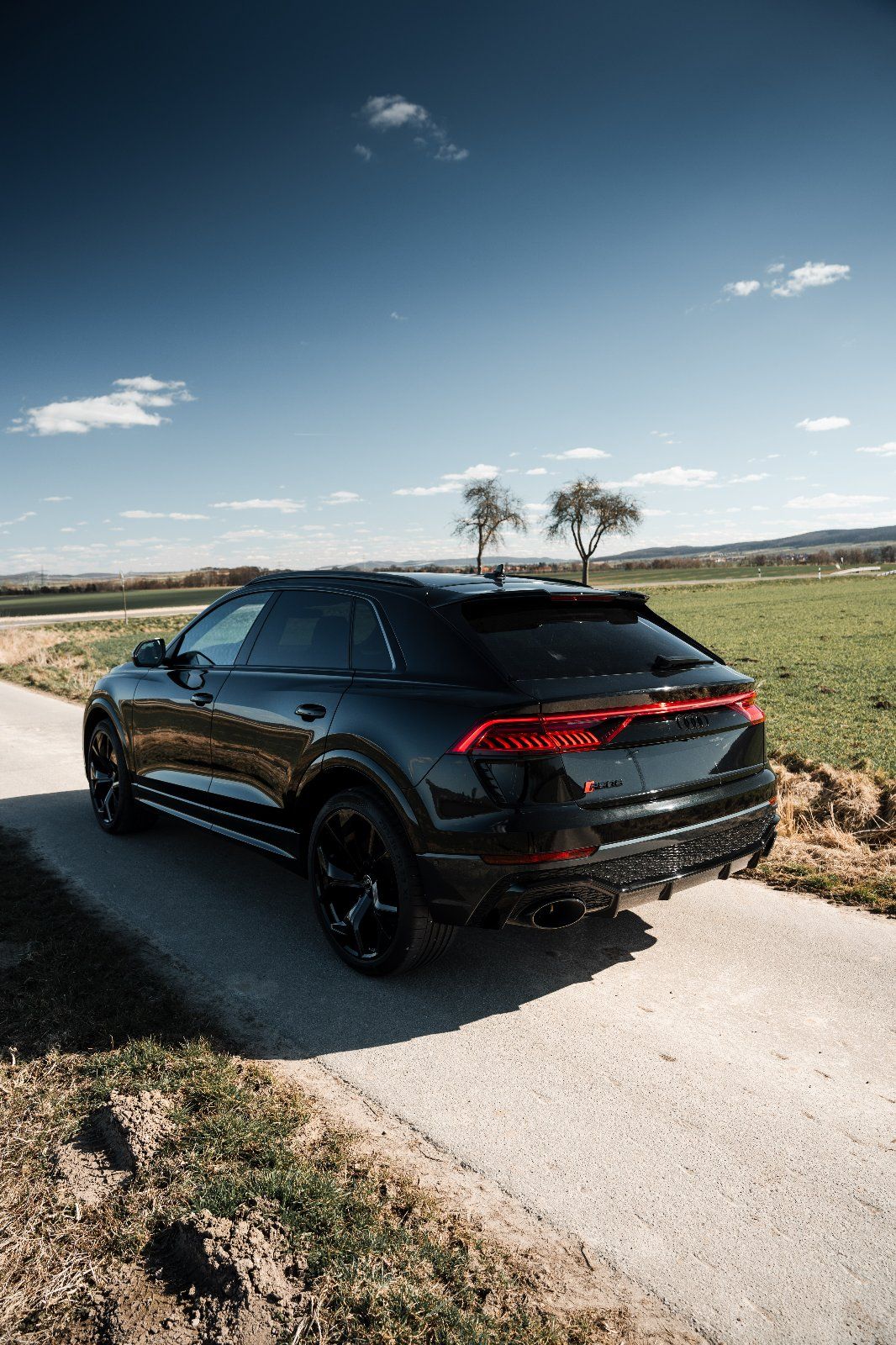 Audi RSQ8, Detail 4